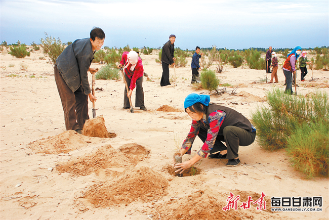 石羊河林业总场生活区领导团队概览及工作简述