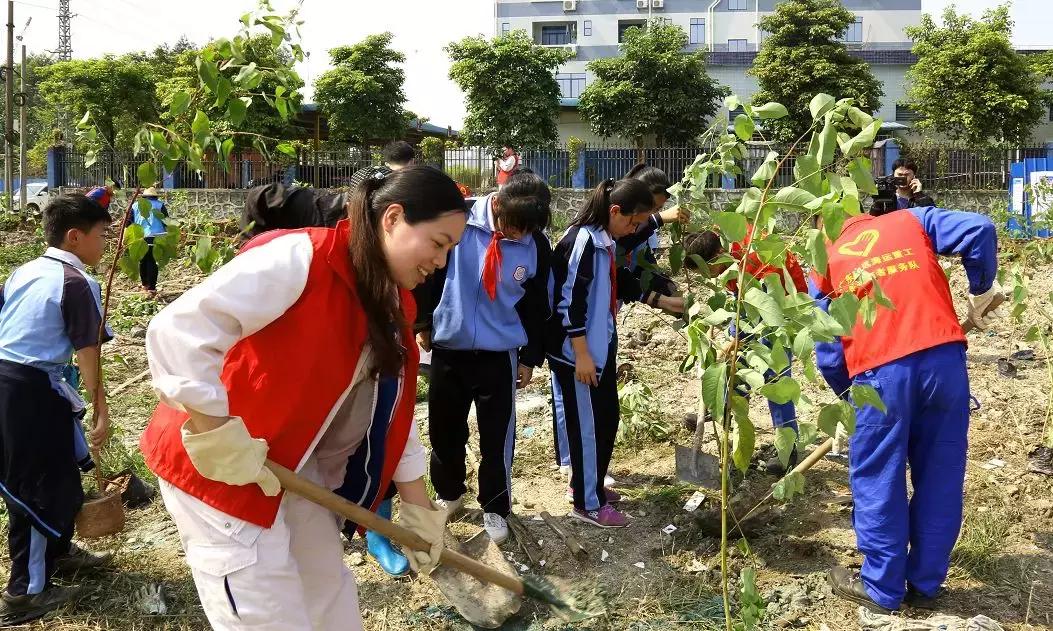 大盛镇未来繁荣新蓝图，最新发展规划揭秘