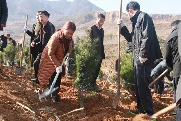 徐家山村委会发展规划概览