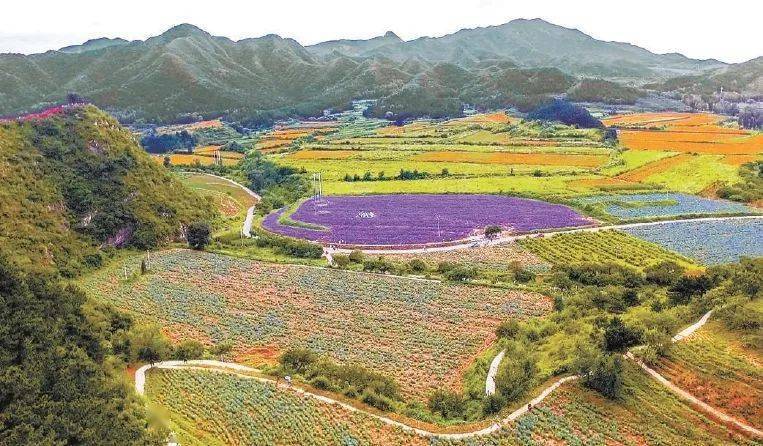 花海镇新项目，引领地区发展的璀璨明珠