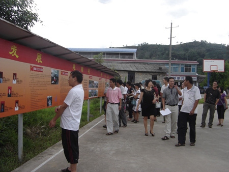 凡昌村委会乡村振兴与社区发展新篇章揭晓，最新新闻动态报道