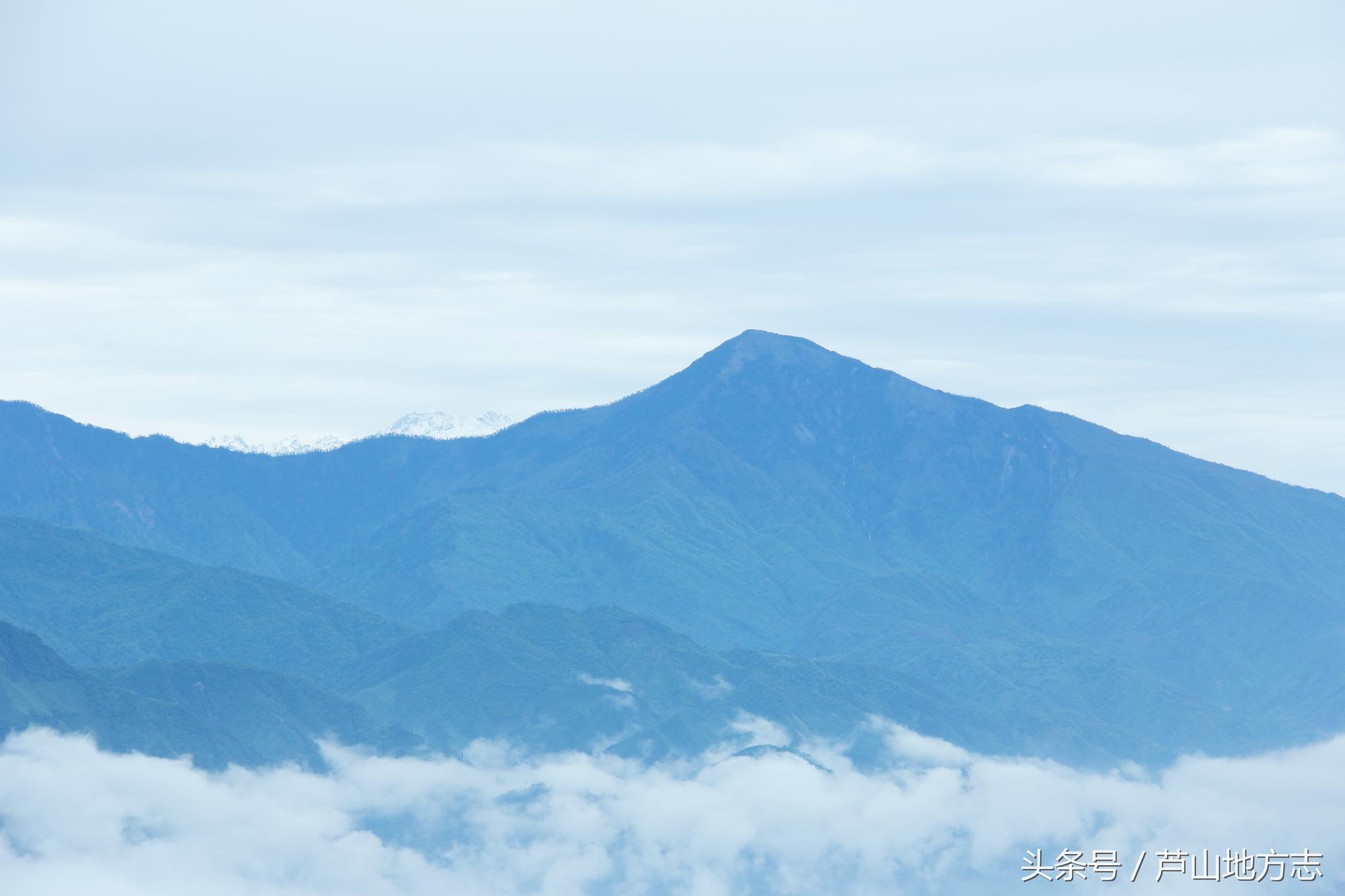 中林村新任领导，引领乡村繁荣的领航者