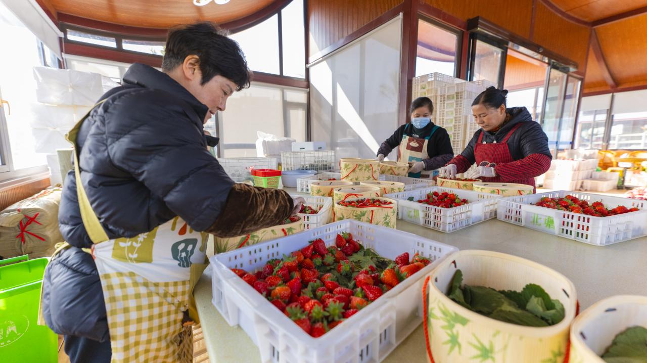 上中畦村委会最新动态报道