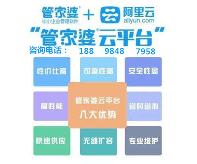 管家婆资料精准一句真言,最佳选择解析说明_app20.817