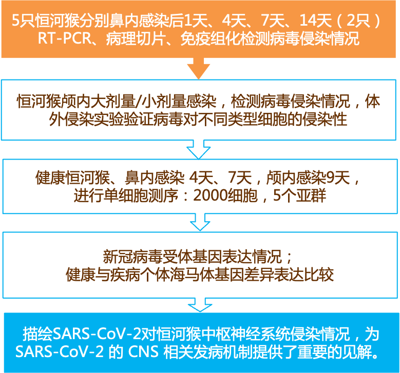 新奥最精准免费大全,决策资料解释落实_高级版94.330