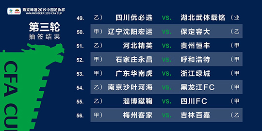 新澳黄金六肖i,完善的执行机制解析_战斗版87.423