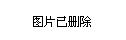 2024年12月15日 第13页