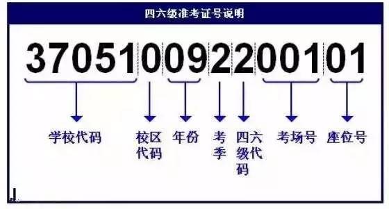 2024澳门濠江免费资料,快速方案执行_V版61.675