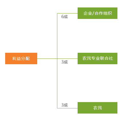 新澳资料免费,现状解答解释落实_AR版57.308