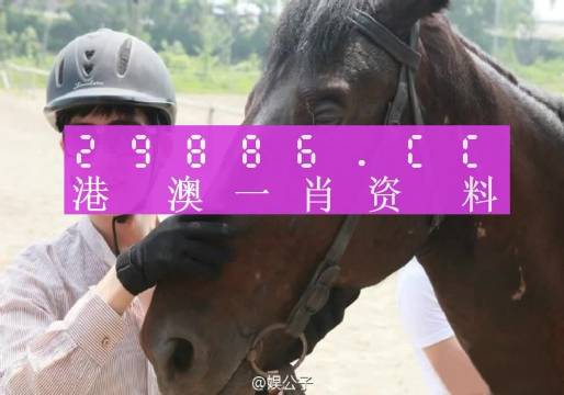 澳门码鞋一肖一码,动态词语解释落实_标准版6.676