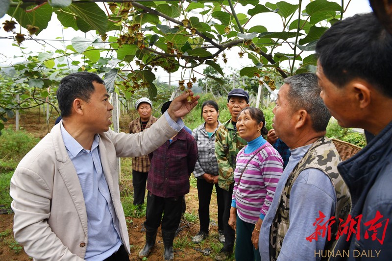 坡荣塘村的蜕变，最新发展与变迁报道