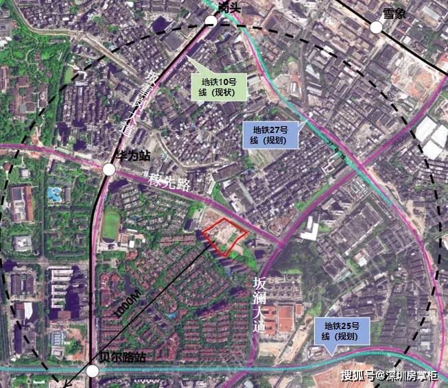 留园街道交通最新动态报道