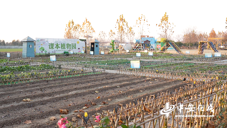 岔林河农场交通新闻更新