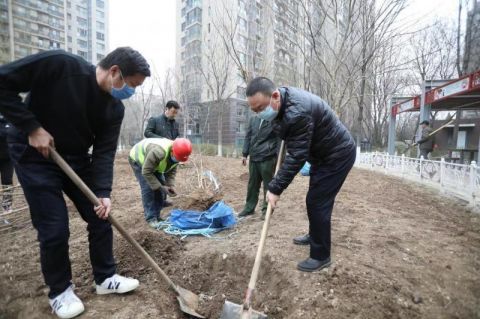 苹果园街道新任领导团队引领社区发展新篇章