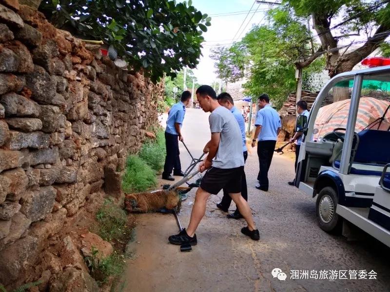 涠州镇领导团队引领地方发展新篇章