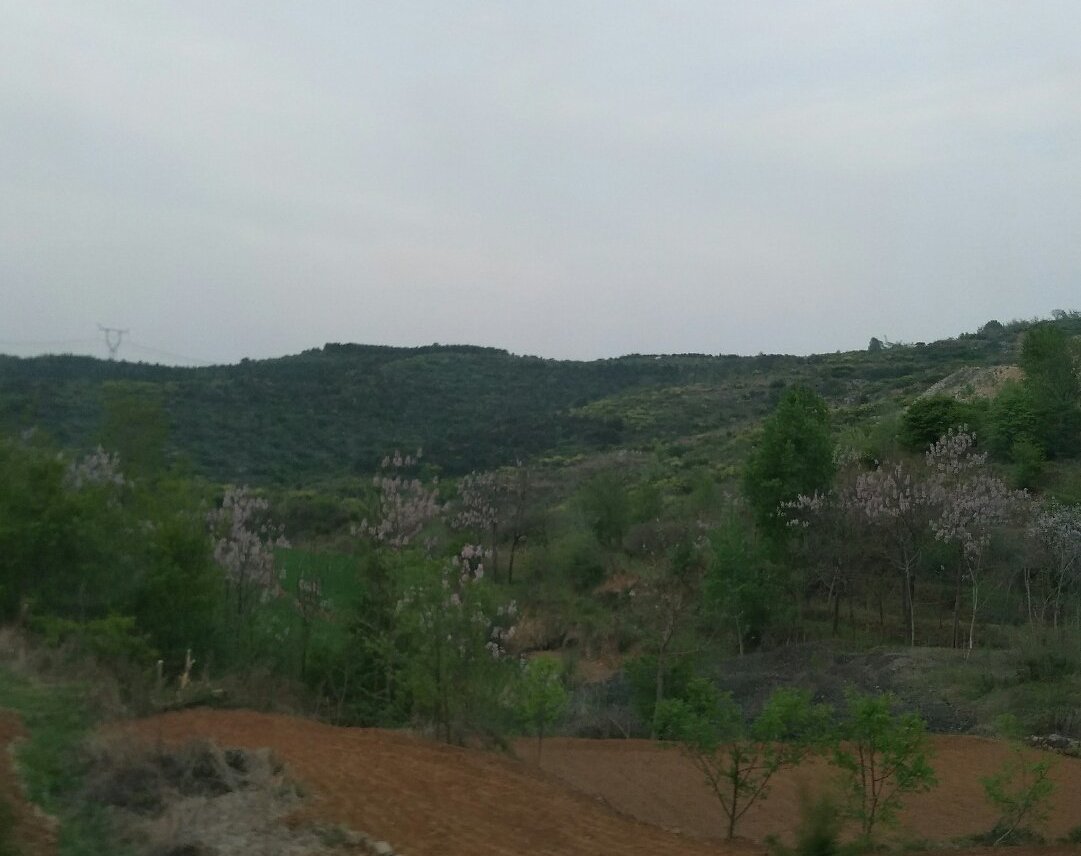 马堤乡天气预报更新通知