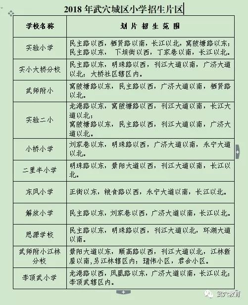 武穴市小学发展规划概览