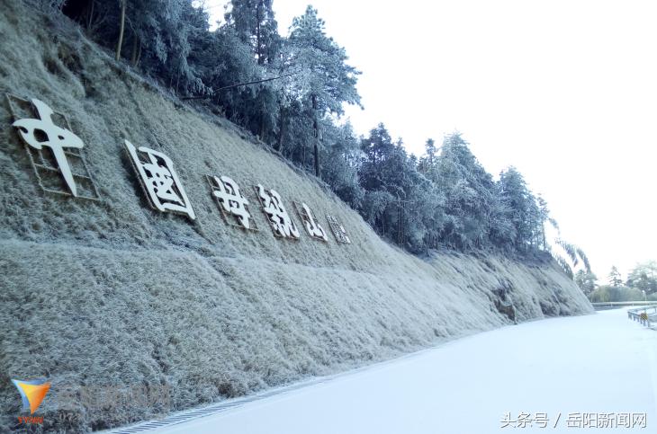 阜山镇天气预报更新通知