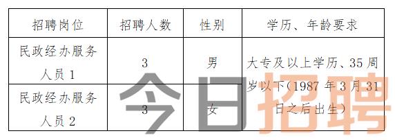 武昌区数据和政务服务局最新招聘公告详解