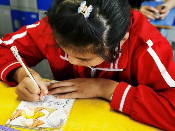 阿瓦提县小学最新动态报道